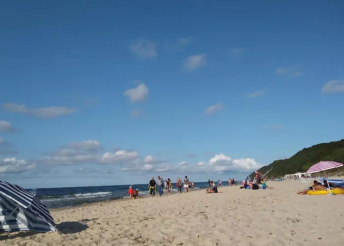 In Near The Lägenhet Dziwnówek